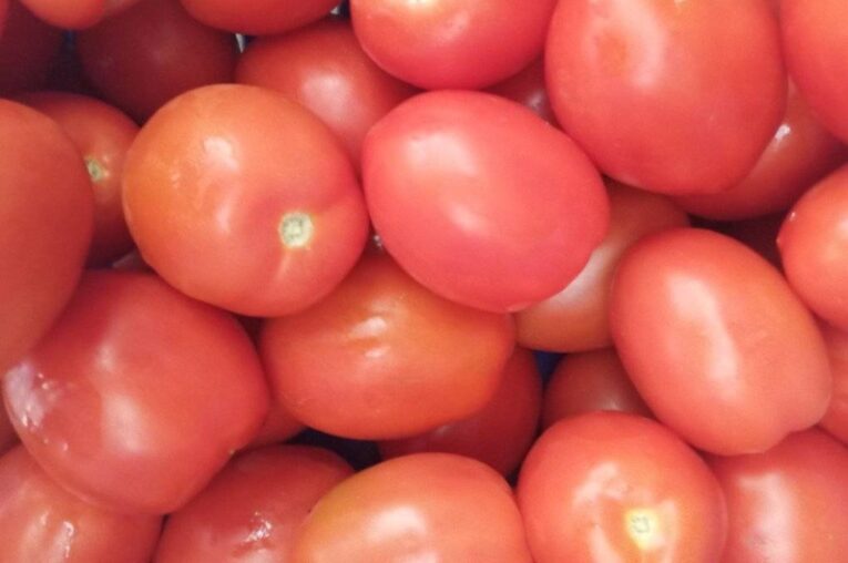 Tomates 2